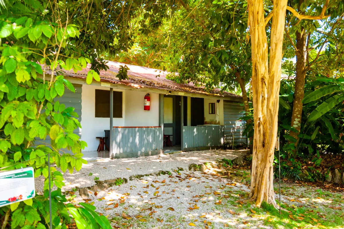 LA CASA DE DON DAVID
