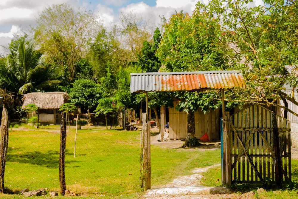 CAMPING - DORCAS ANTONIO